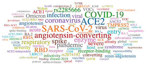 word cloud