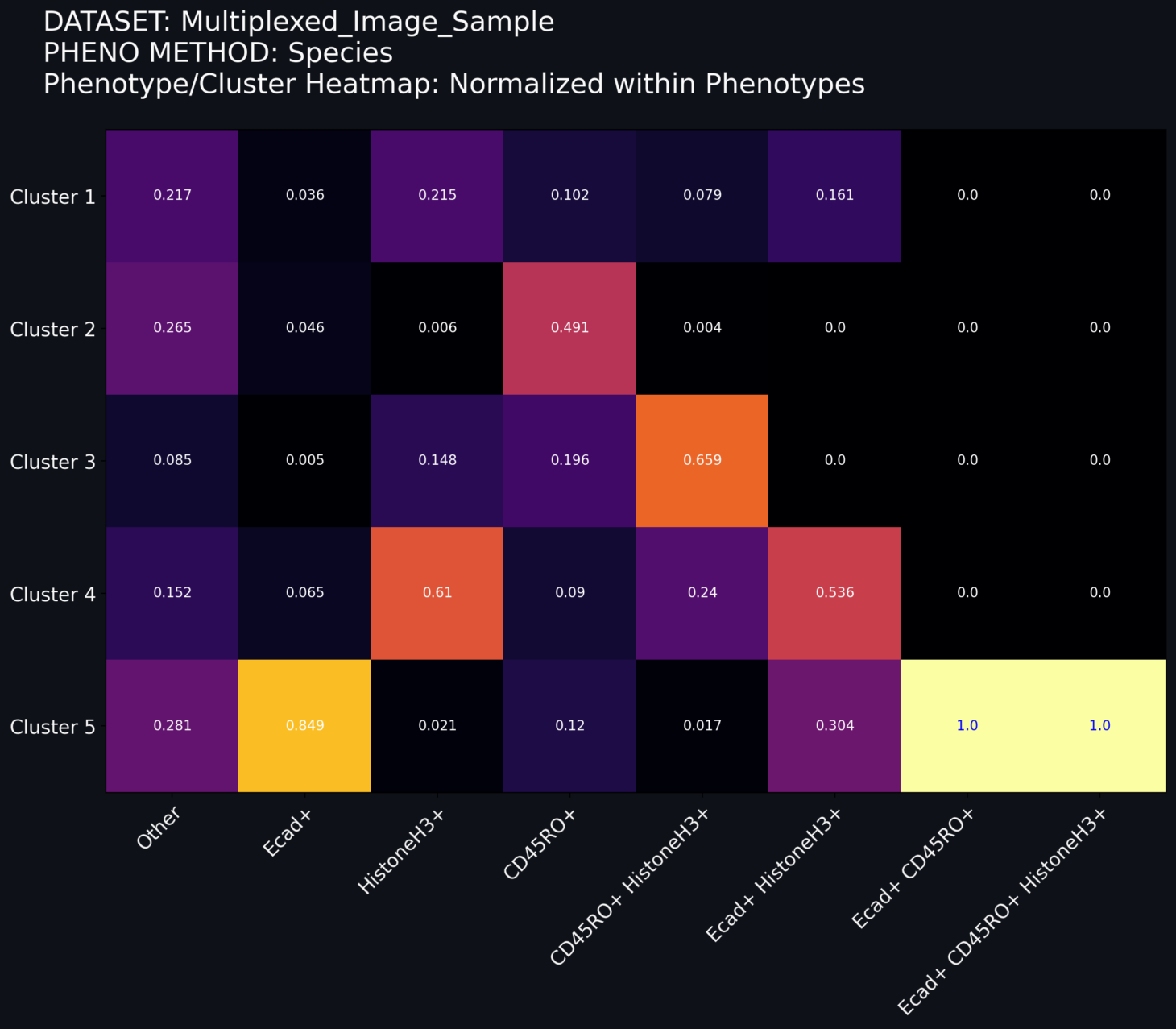 Heatmap Norm within Clusters