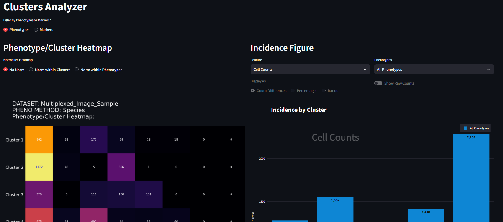 'Clusters Analyzer Page'