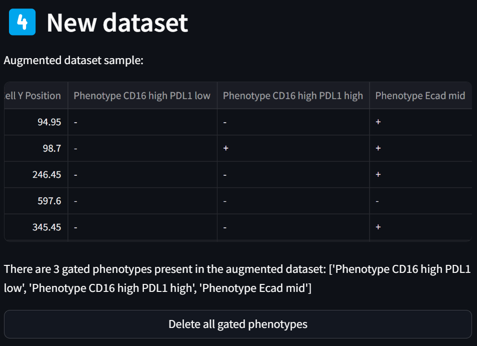 Augmented dataset sample