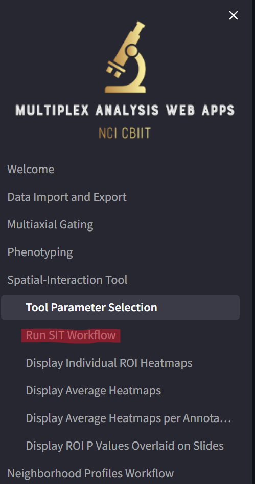 Highlighted Run SIT Workflow page